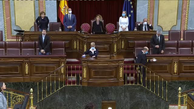 El Congreso de los Diputados guarda un minuto de silencio por las víctimas del coronavirus