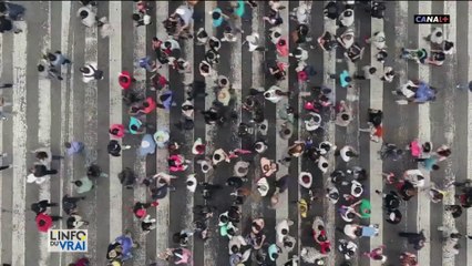 Et si une grande partie d'entre nous étions déjà immunisés et ce, avant-même l'apparition du virus ?