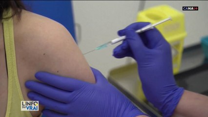 118 laboratoires cherchent un vaccin contre le covid-19 et 8 sont déjà passés aux essais sur l'homme
