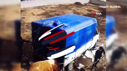 Çiftlikten salınan boğa boynuzları ile aracı itti, sonra sahiplerini kovaladı! O anlar kamerada