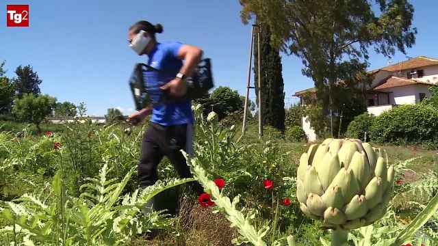 Isola Solidale: Numero Verde Oltre il carcere (Tg2)