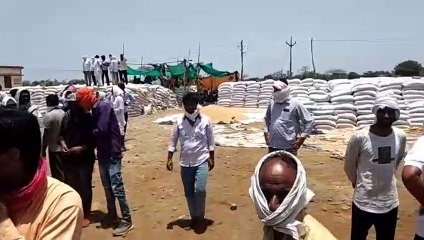 गेहू खरीदी के दिन बड़े लेकिन समस्या बरक़रार