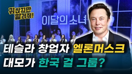 테슬라 창업자 엘론머스크 아들의 대모가 한국 걸그룹 멤버?! [귀찮지만 알려줘 ep.19]