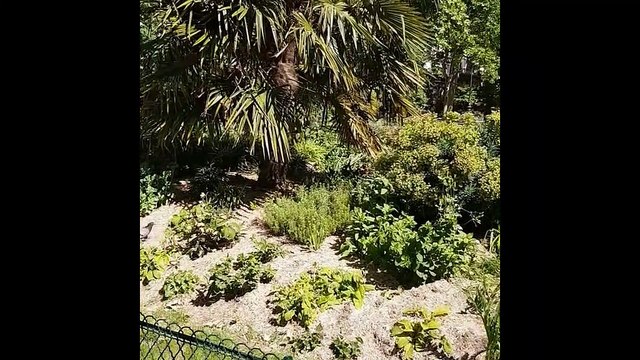 visite Paris la Tour Eiffel Champs de Mars