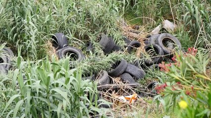 Berati i mbushur me inerte/ Hidhen në anë të rrugëve dhe të lumenjëve
