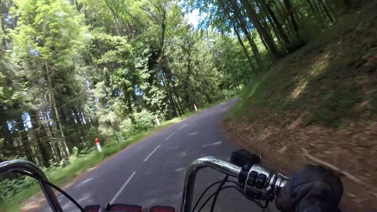 Balade dans la Montagne Noire 24 mai 2020