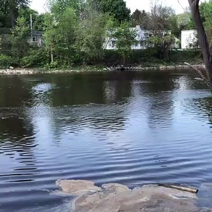 À la planche sur la rivière