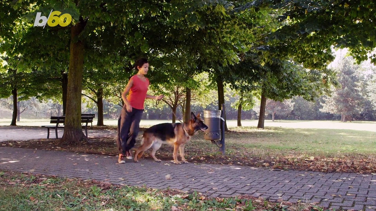 5 Eco-Friendly Pet Products to Support a Healthier Planet