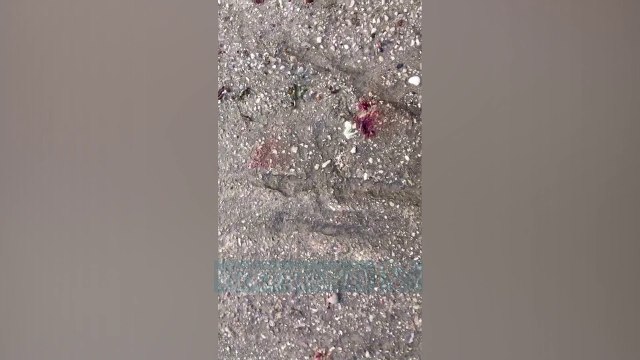 Si u vra 25 vjeçari në Vlorë? Autorët e vëzhguan disa ditë viktimën - News, Lajme - Vizion Plus