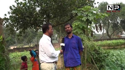 সব্জি চাষে লাখ টাকা আয় । মোঃ শাজাহান মিয়া বিরুলিয়া  ২০২০