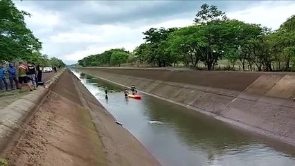 ext-busqueda-de-oij-270520