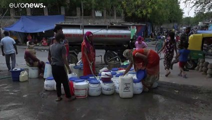 Sáskajárás és hőség Indiában