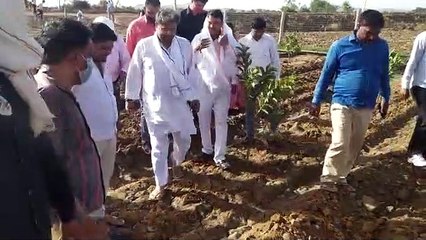 खेतो में नजर आई टिड्डी, अधिकारियों के साथ खेतो में पहुंचे विधायक