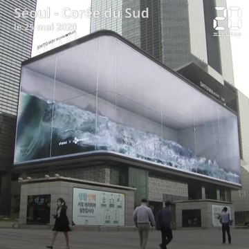 Corée du Sud: Une vague géante déferle au coeur de Séoul