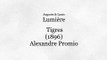 Tigres (Tigres) [1896]