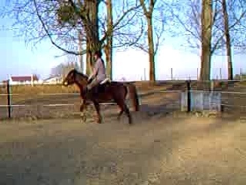 Au galop (à faux, mais bon...) sur Quouala...