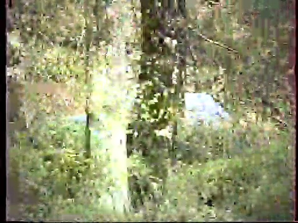 Rallye de la Gentiane 1993. Partie 2/2