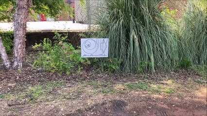 Athens movement practice local business spotlight with realtor Georgui Kassaev