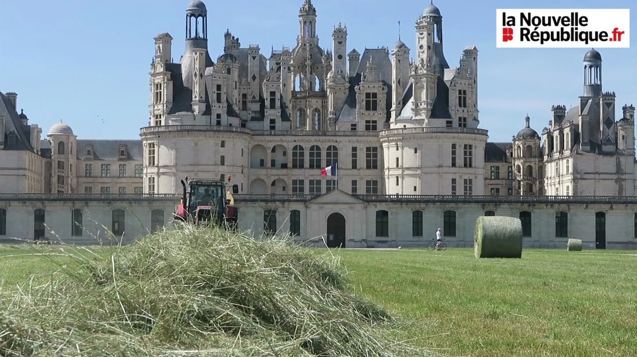 VIDEO. Du foin récolté au pied du château de Chambord