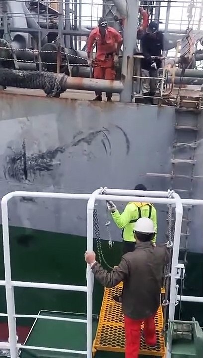 Pilot accident while boarding the vessel....