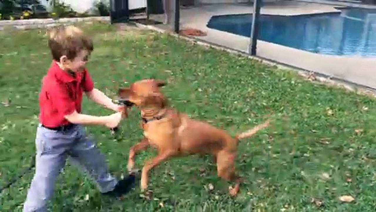 Logan Xavier 2019 01 08 Logan and Zuma Wrestling