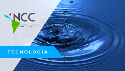 Cien­tí­fi­cos tra­ba­jan en el desa­rro­llo de una nue­va be­ren­je­na re­sis­ten­te a la se­quía