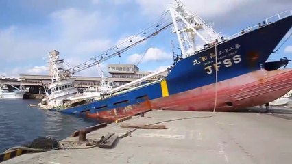 Ship Crash Compilation