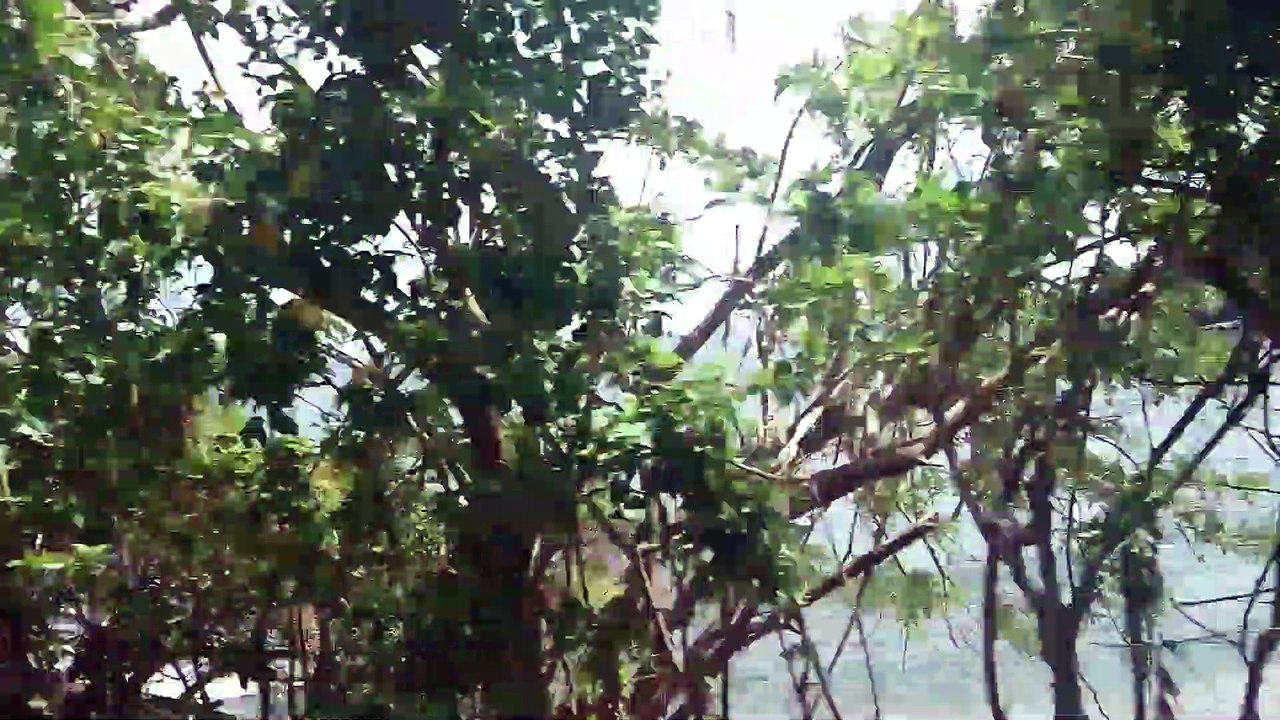 corregidor island tour