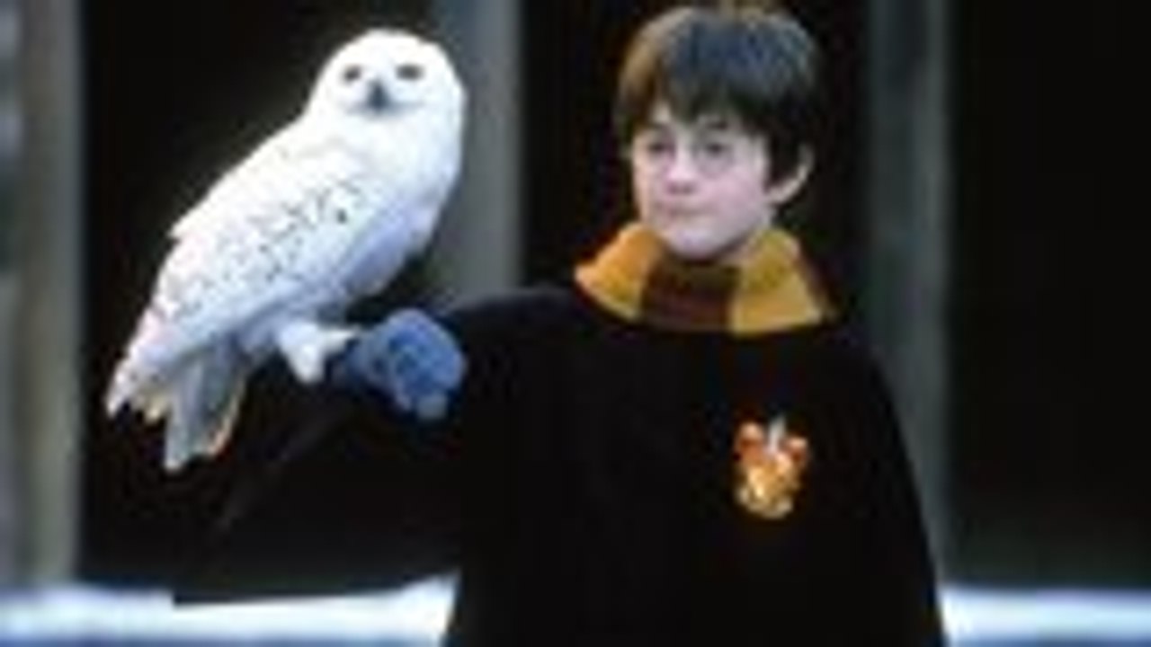HBO Max Streaming Harry Potter Film Library | THR News