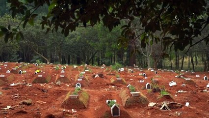 Brasil supera os 25 mil mortos