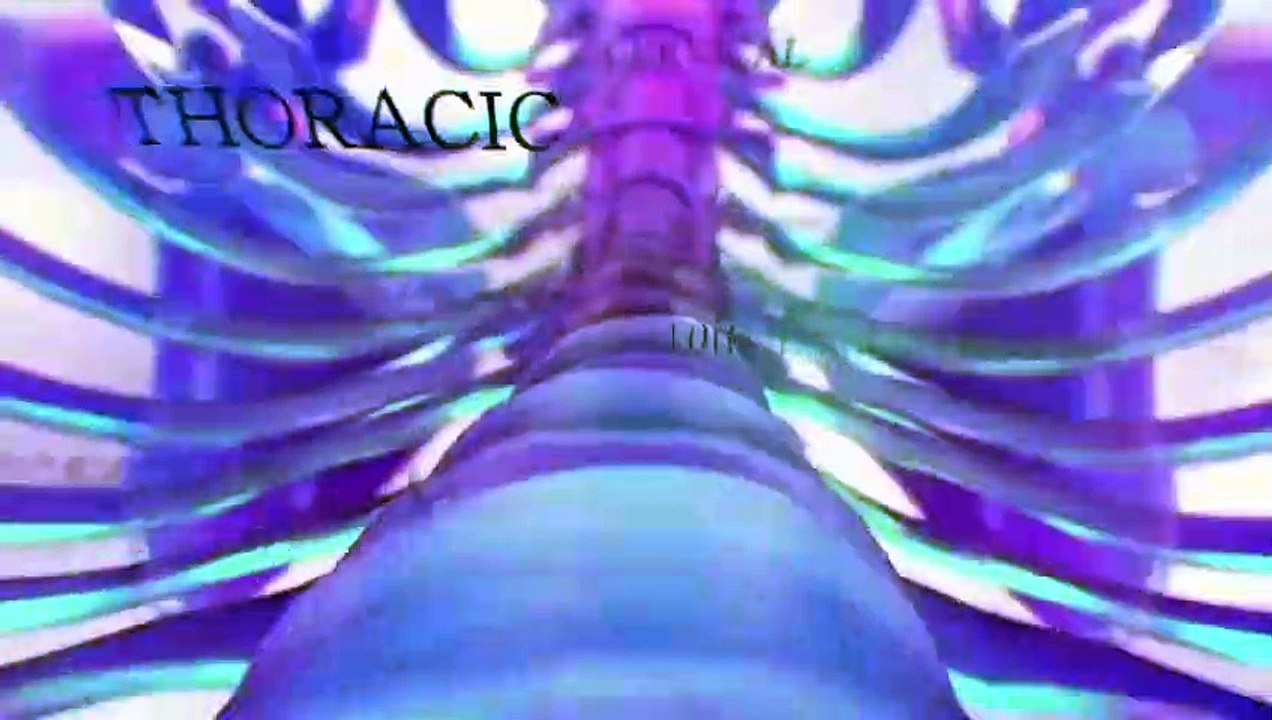 日劇 » 櫻子小姐的腳下埋著屍體 真人版04