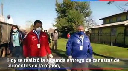 COVID 19 : ENTREGA DE CANASTAS FAMILIARES POR PARTE DEL GOBIERNO REGIONAL DE LA ARAUCANIA
