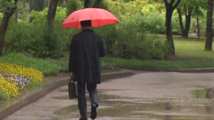 [날씨] 전국 맑고 포근...퇴근길 일부 소나기 / YTN