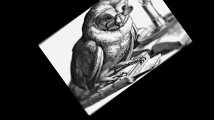 अमरुद खाने के ये फायदे जानकर आप चकित रह जायेंगे | Amarud Khane Ke Fayade | Guava