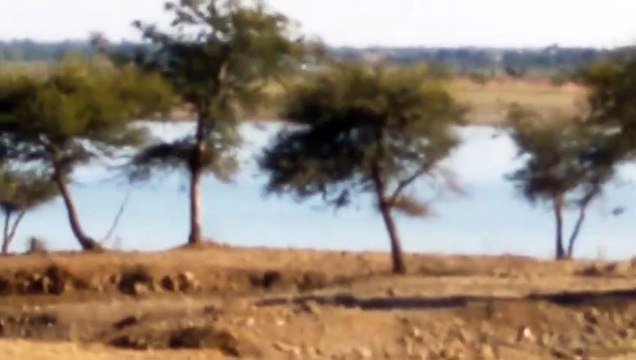 शाजापुर: चीलर डेम का जलस्तर कम, लिफ़्टिंग के जरिए शहर में आएगा पानी