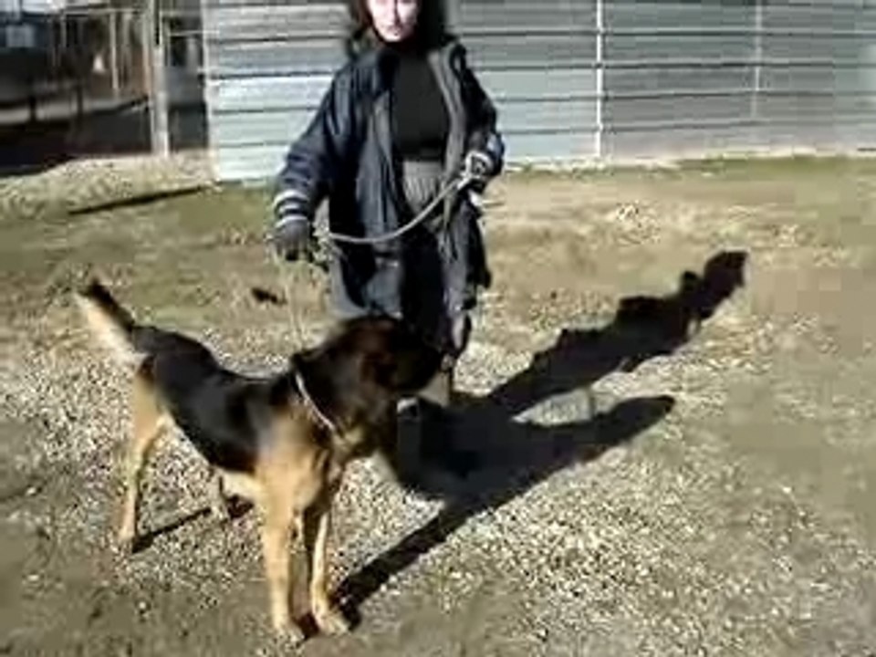 Syvie et TOM MOV02368
