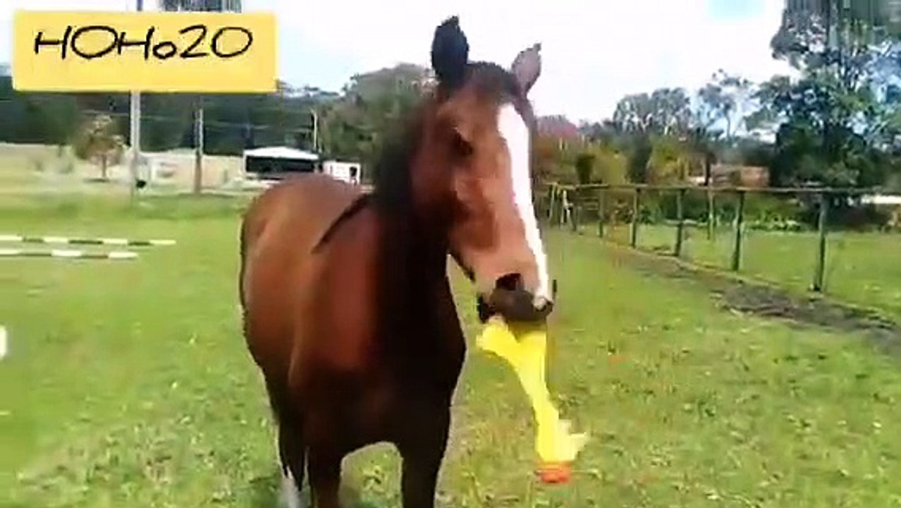 If you can't, don't laugh