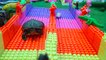 Fun Hamster vs Turtle Race in Lego Maze!! Obstacle Course Hamster Race by Fun Hamster