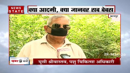Uttar Pradesh: बढ़ती गर्मी के चलते कानपुर जू प्रशासन ने जानवरों के लिए किए खास इंतेजाम