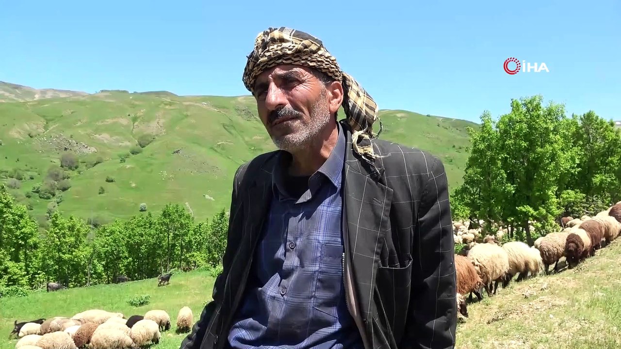 Muş’taki yaylalar besicileri ağırlamaya başladı