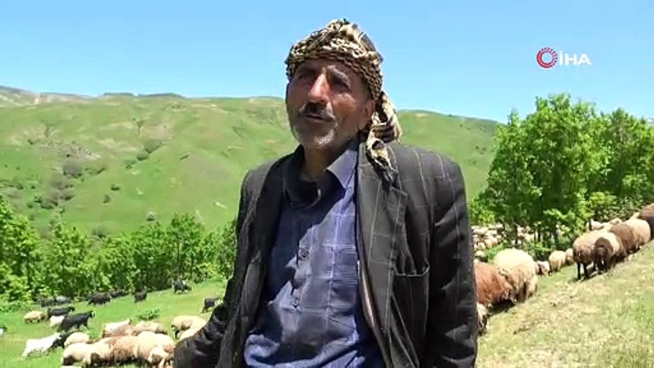 Muş’taki yaylalar besicileri ağırlamaya başladı