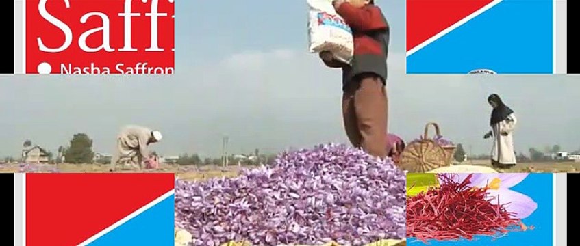 NEGIN !! WA:083 854 153 392	Jual Bunga Saffron Per Gram Surabaya- Malang