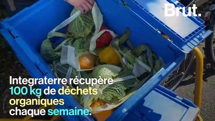 "Cette crise nous a montré l'importance de relocaliser notre alimentation" : dans les coulisses d'une ferme urbaine dans les Yvelines