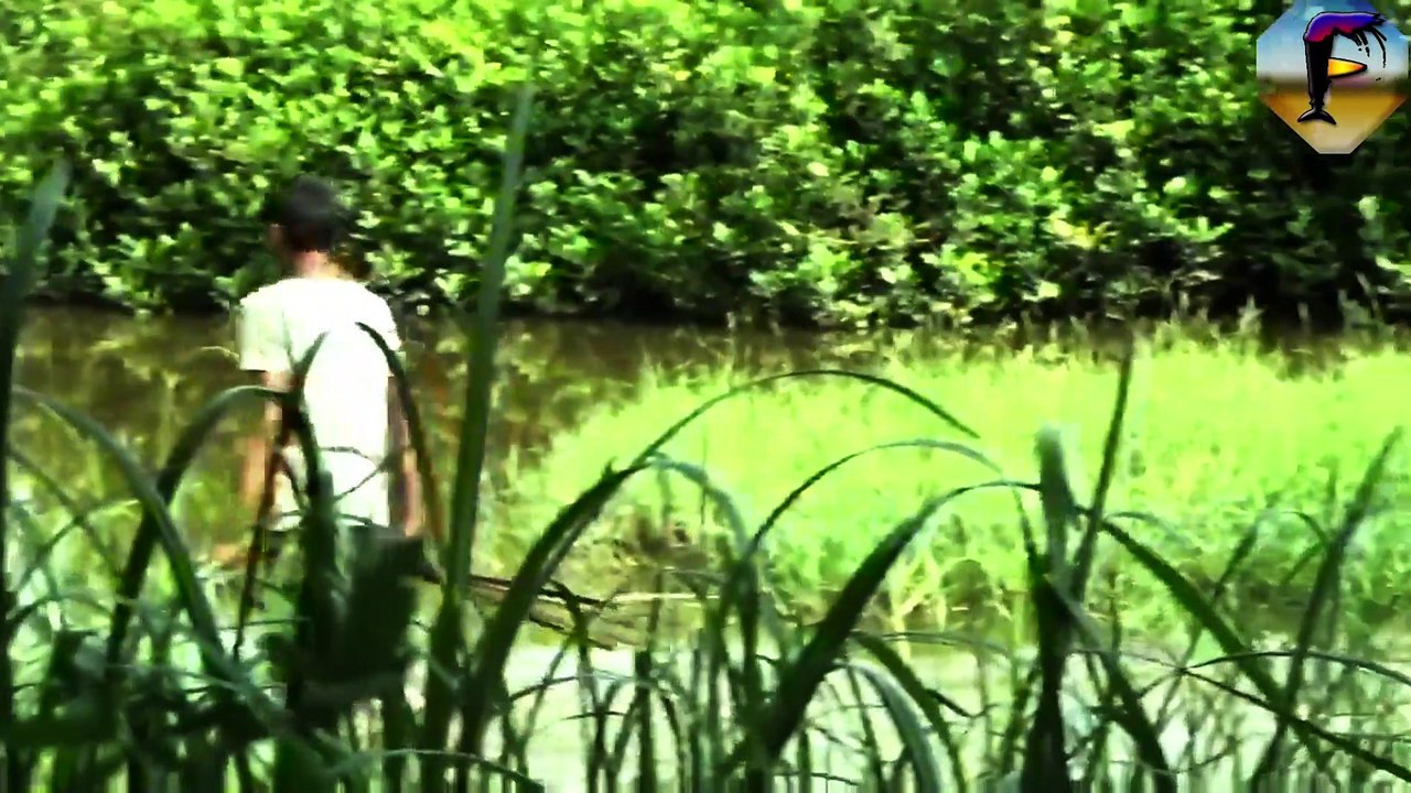 HOW TO CATCH BIG CRAB - SIMPLE TECHNIQUE