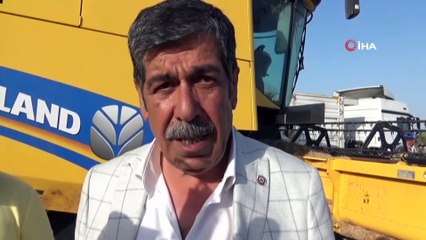 Buğdayda verim arttı, çiftçinin yüzü güldü