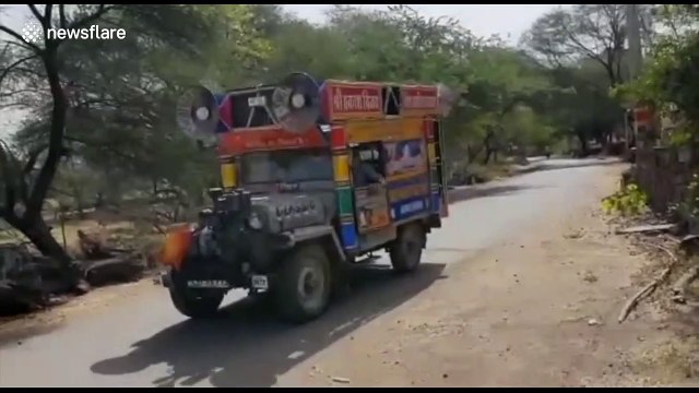 Indian farmers beat utensils, play loud music and spray pesticides to drive away locusts
