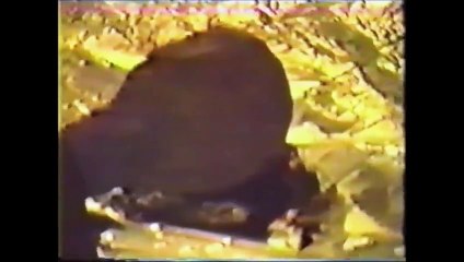 The Jonathan Reed Alien Encounter (1996)