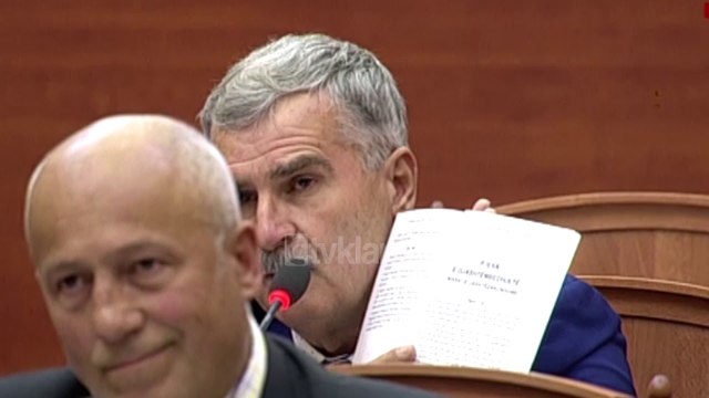 Gjuzi: Keshilli Politik, ne shkelje te Kushtetutes. Ruci: E ke gabim
