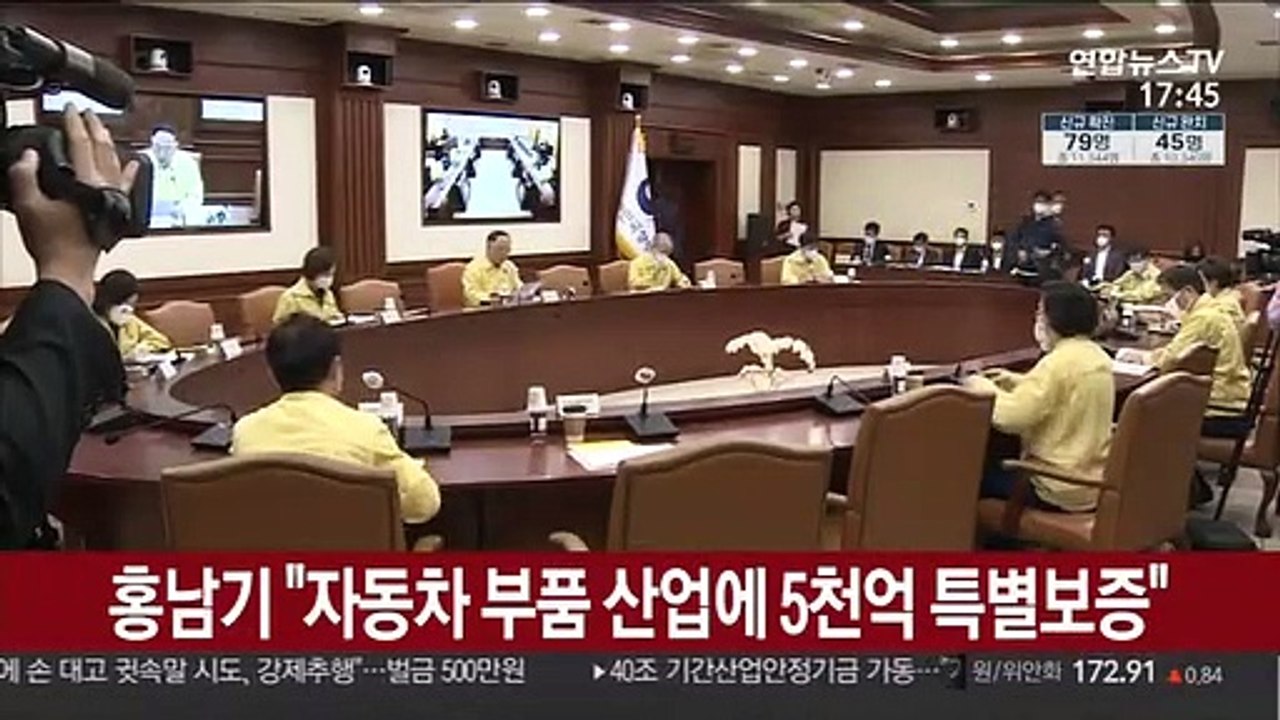 홍남기 "車 부품 5천억 보증…'동행세일' 실시"
