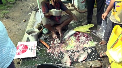 Quick Fish cutting skill - 100 Kg per hours in Paniki